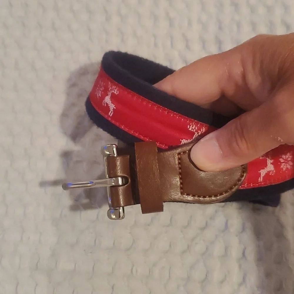 Leather and Web Kid's Belt